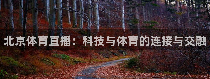 北京体育直播：科技与体育的连接与交融