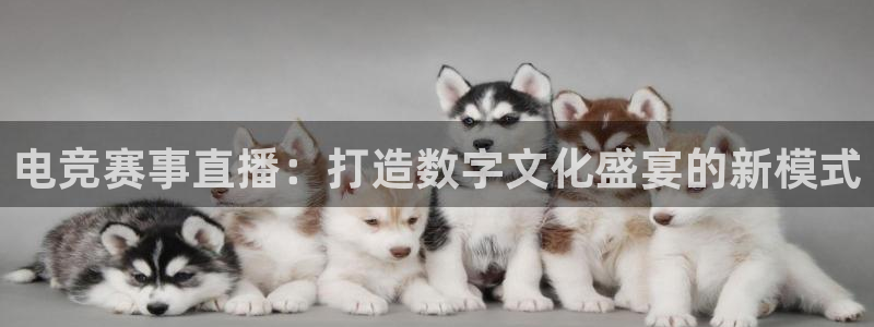 电竞赛事直播：打造数字文化盛宴的新模式